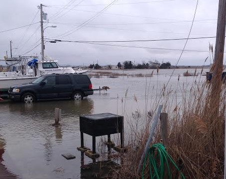 flooding Feb 9 (2)